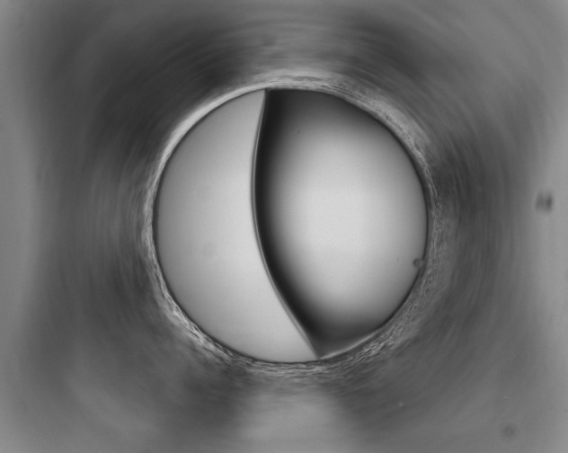 X0000097950960200803241016