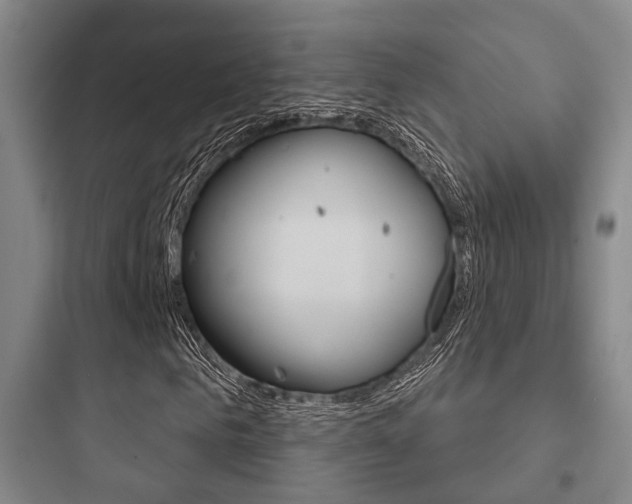X0000097950961200803241015