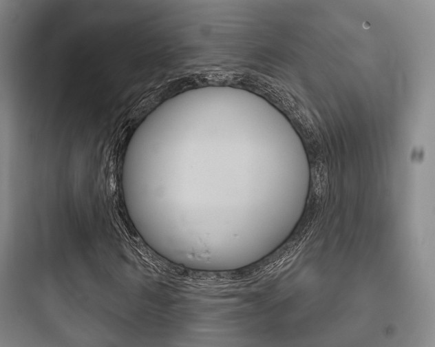 X0000097950962200803241015