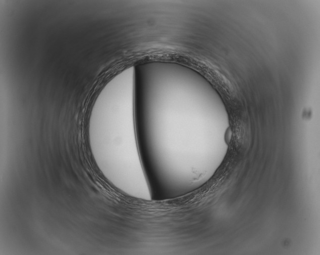 X0000097950964200803241015