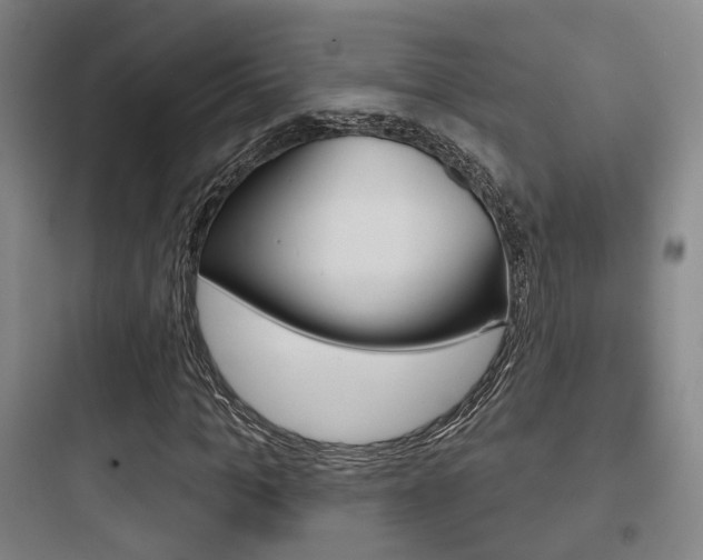 X0000097950965200803241015