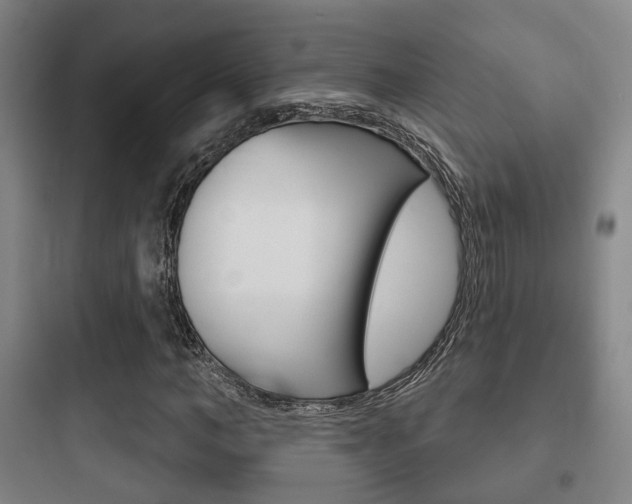 X0000097950966200803241015