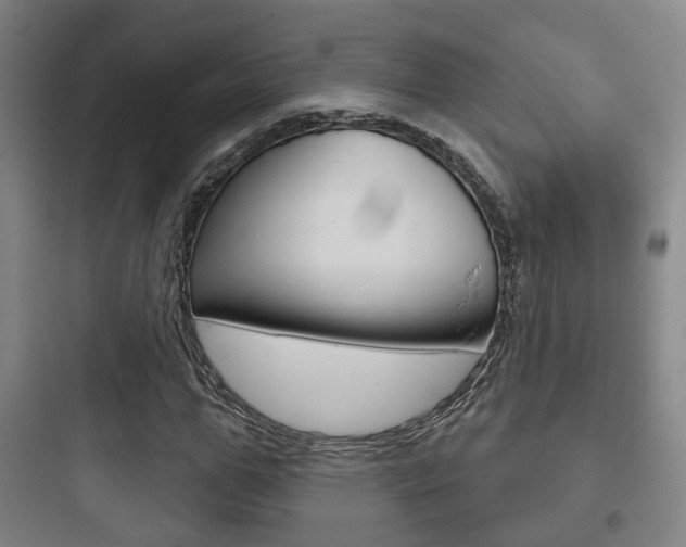 X0000097950967200803241015