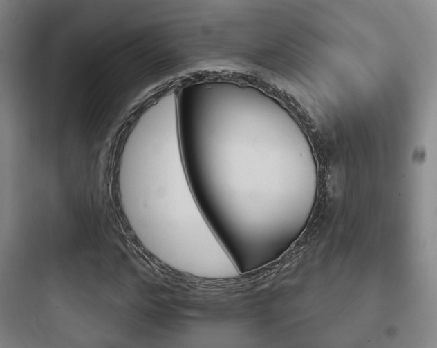 X0000097950968200803241015