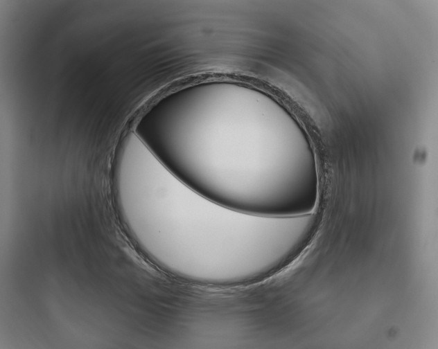 X0000097950969200803241015