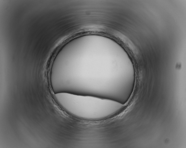 X0000097950970200803241015