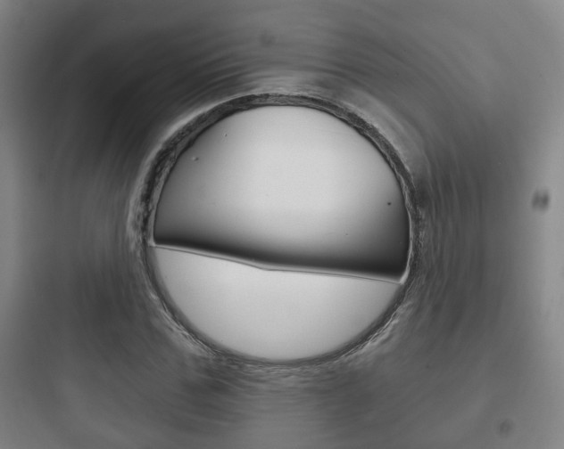 X0000097950971200803241015