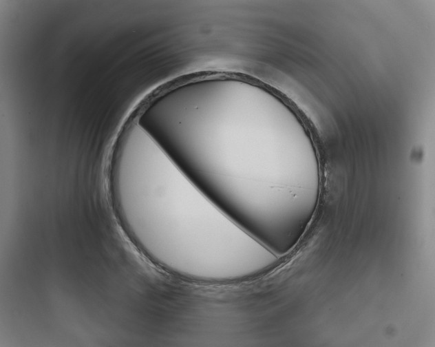 X0000097950972200803241015