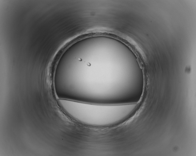 X0000097950973200803241015