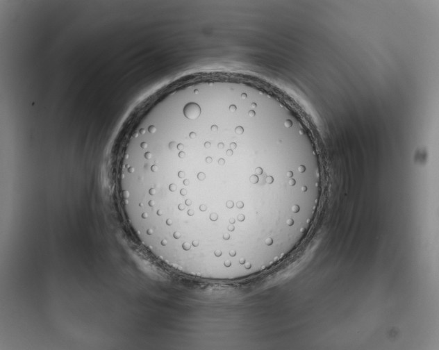 X0000097950974200803241015