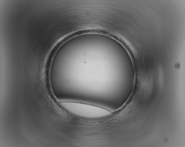 X0000097950975200803241015