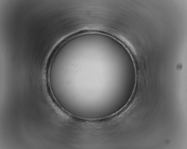 X0000097950976200803241015