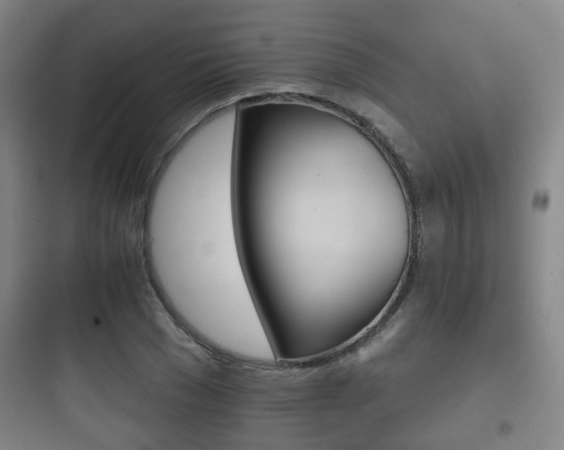 X0000097950977200803241015