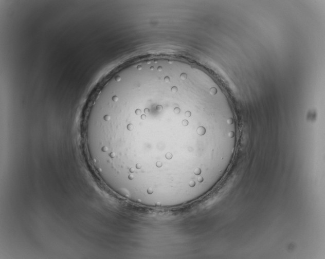 X0000097950978200803241015