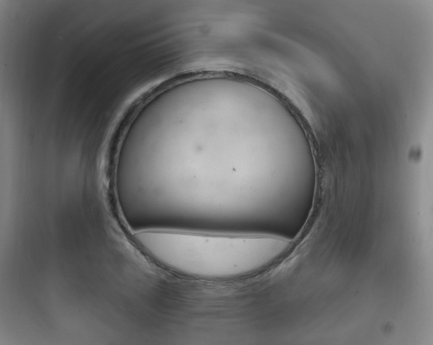 X0000097950979200803241015