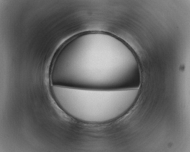 X0000097950980200803241015