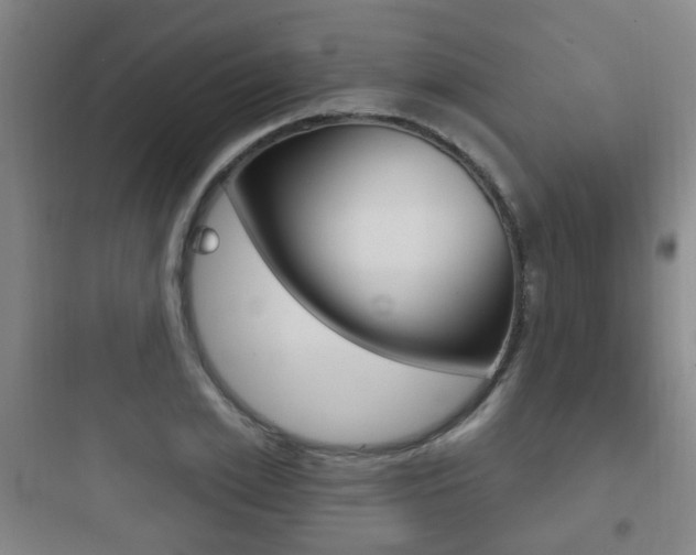 X0000097950981200803241015
