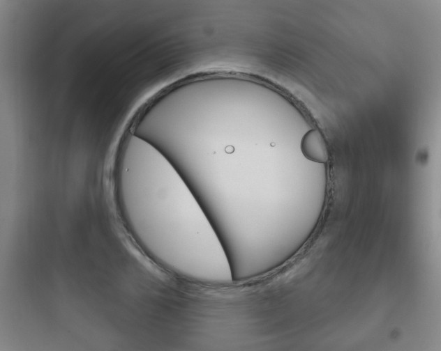 X0000097950982200803241015