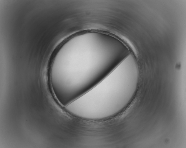X0000097950983200803241015