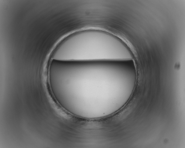 X0000097950984200803241015