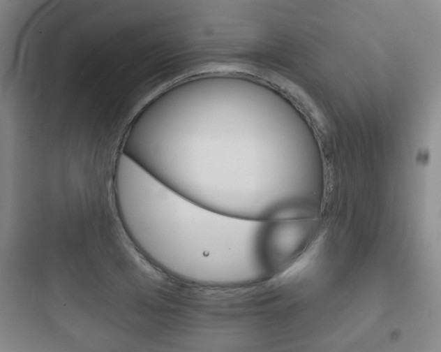 X0000097950985200803241015