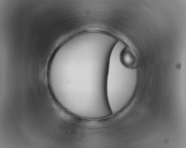 X0000097950986200803241015