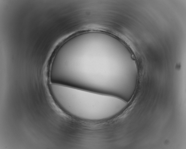 X0000097950987200803241015