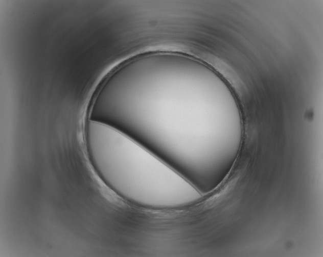 X0000097950988200803241015