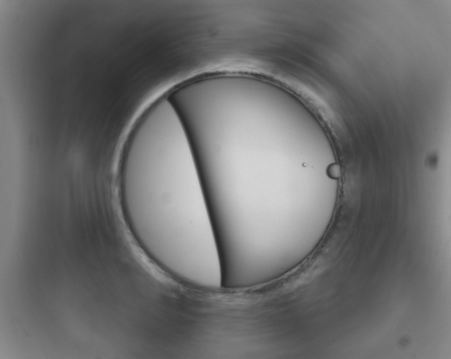 X0000097950990200803241015