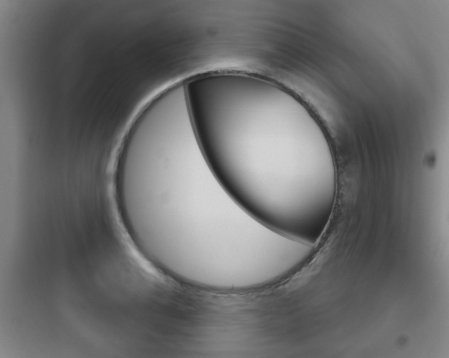 X0000097950991200803241015