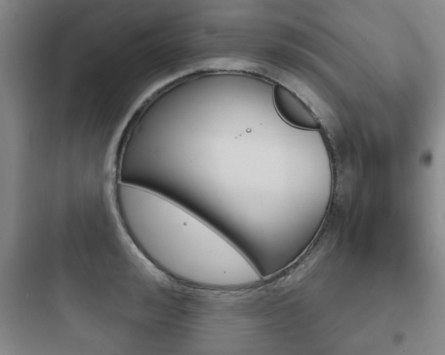 X0000097950992200803241015