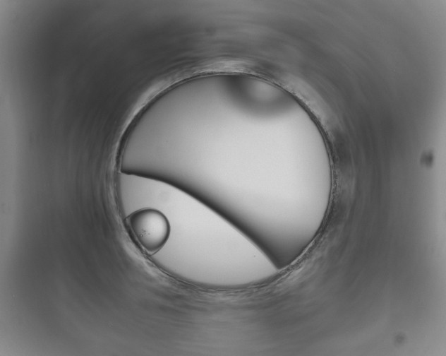 X0000097950994200803241015