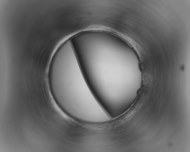 X0000097950995200803241015