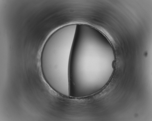 X0000097950996200803241014