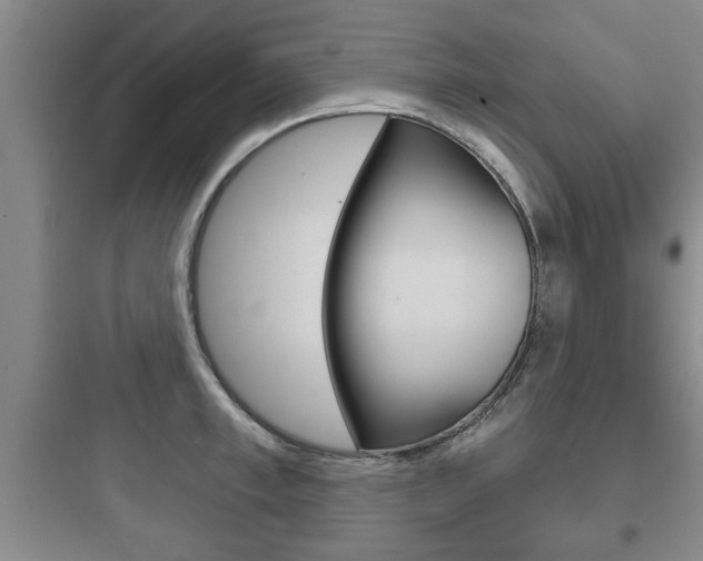 X0000097950997200803241014