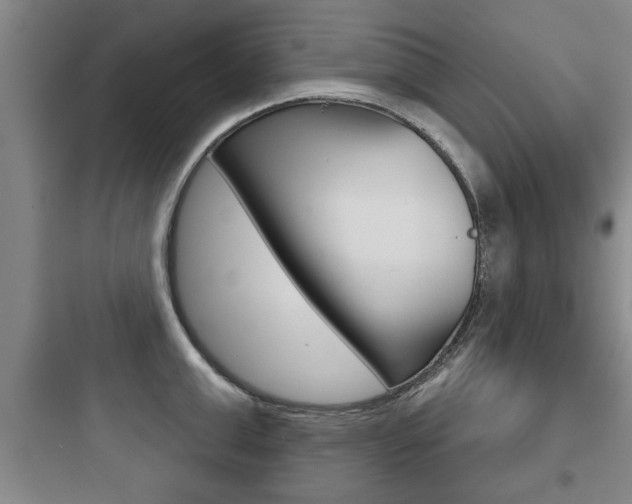 X0000097950999200803241014