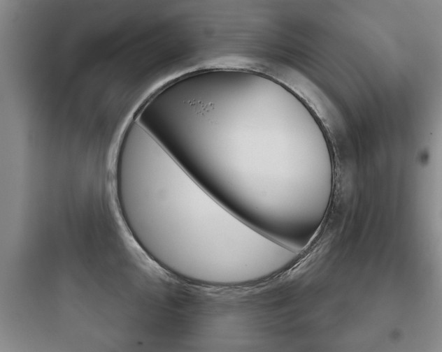 X0000097951000200803241014