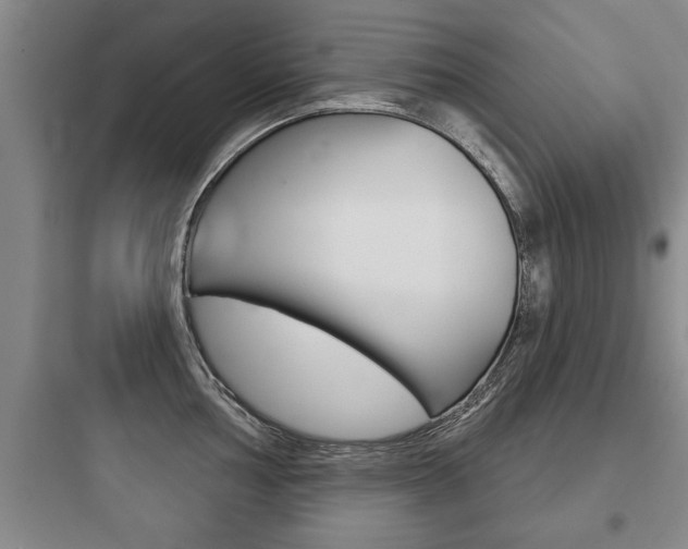 X0000097951002200803241014