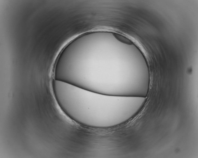 X0000097951003200803241014