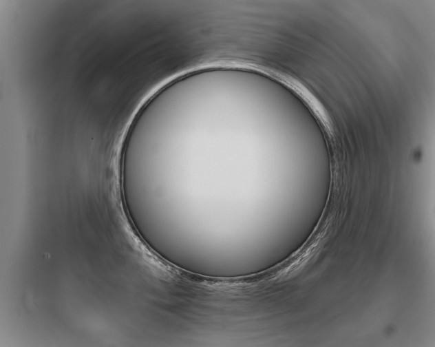 X0000097951004200803241014