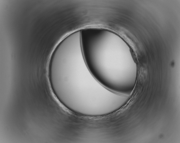 X0000097951005200803241014
