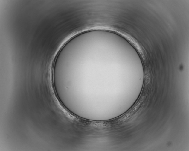 X0000097951006200803241014