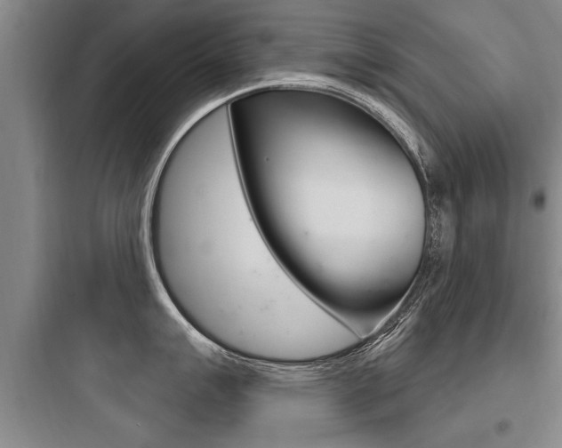 X0000097951007200803241014