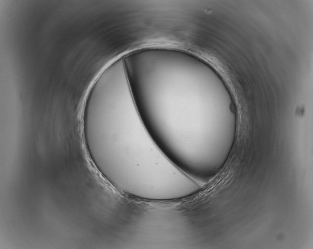 X0000097951008200803241014