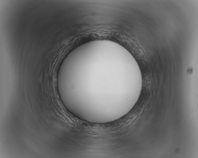 X0000097951009200803241014