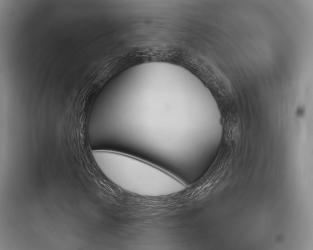 X0000097951010200803241014