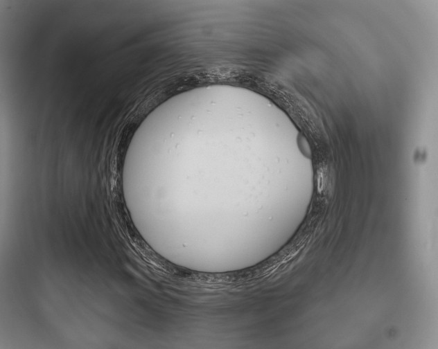 X0000097951011200803241014