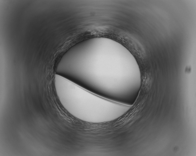 X0000097951012200803241014