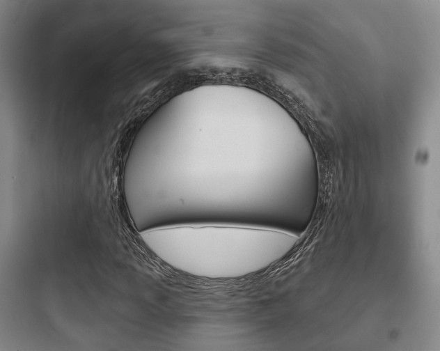 X0000097951013200803241014