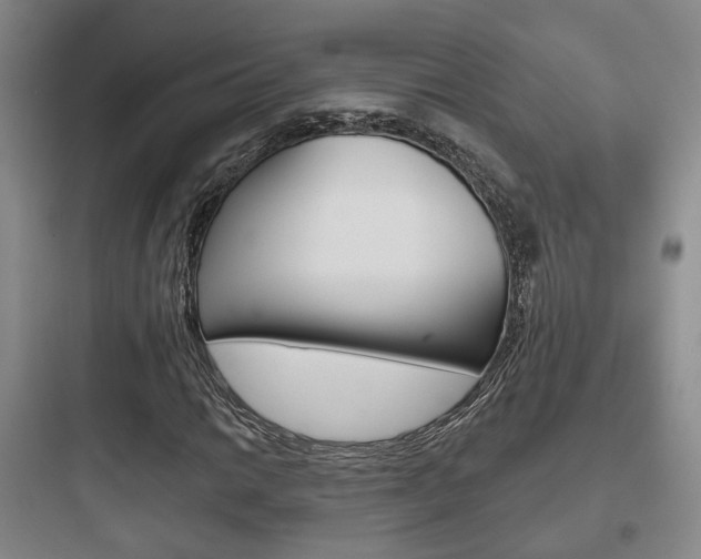 X0000097951014200803241014